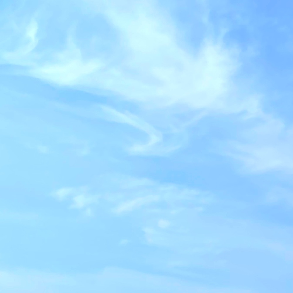 Meet your Posher, Jana